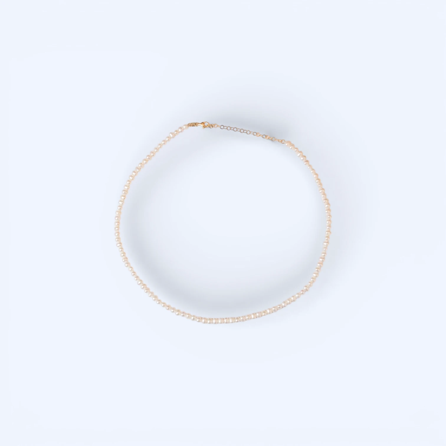 Naia | 14 Ayar Altın İnci Choker Kolye